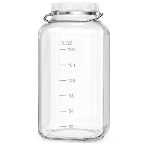 Extra large 2-gallon square glass storage jar with stainless steel handle on white background