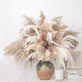 20-Stem Boho Chic 28" Pampas Grass Decor - Natural Dried Fluffy Stalks - Brown & White Minimalist Floral Centerpiece